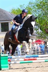 Animal welfare and Pony Riding Programme 